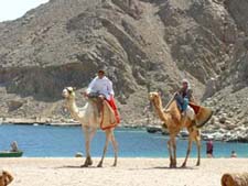 Camel Safaris